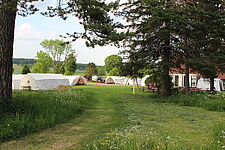 Link